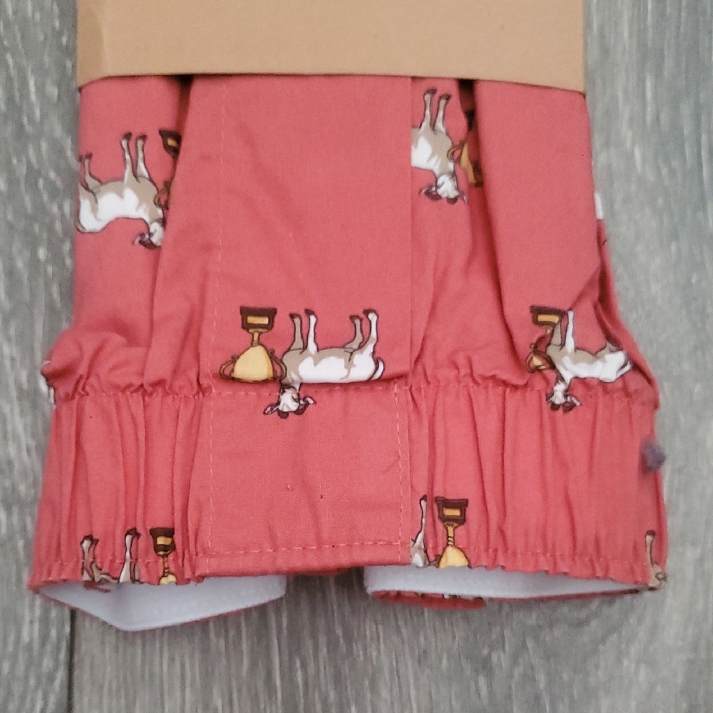 J. Crew Coral Red Goat with Gold Trophy Woven Boxer Shorts